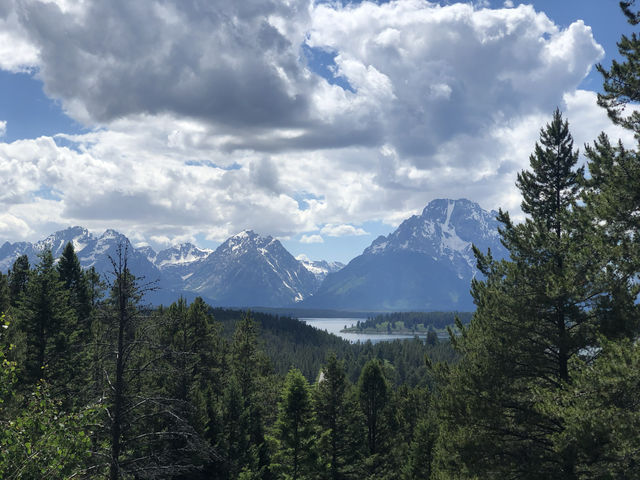 USA | Grand Teton National Park Photo Sharing 3 - Scenery on the Road