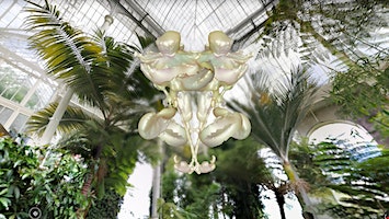 Biota, Biomes and Bodies | The Riverside Glasshouse