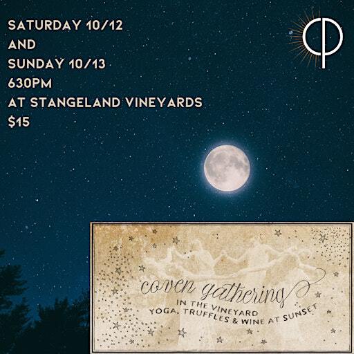 Sunset Yoga Gathering in the Vineyard | Stangeland Vineyards & Winery