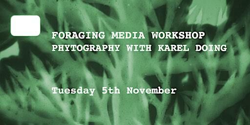 Foraging Media Workshop: Phytography with Karel Doing | National College of Art and Design
