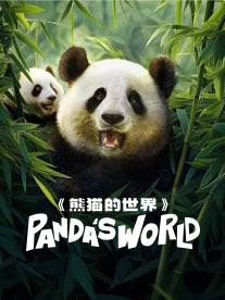 熊貓的世界—大熊貓主題VR沉浸式體驗展（西安/曲江銀泰城）｜展覽休閒 | 曲江銀泰城A館