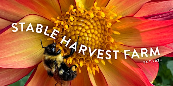 Bee Camp: Buzz & Learn (Free for All Ages 8+) | Stable Harvest Farm