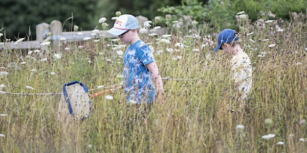 Wildfamilies Pond Dipping and Minibeast Hunting at The Wolseley Centre | The Wolseley Centre