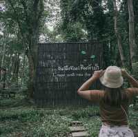 ออกมาให้ธรรมชาติบำบัด วนธารา พิษณุโลก