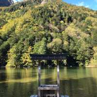 紅葉の明神池