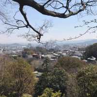 wakayama castle