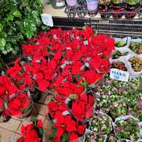 Flower Street Market Mongkok