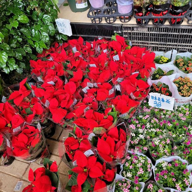 Flower Street Market Mongkok