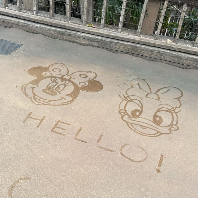 東京ディズニーシー/20周年/雨