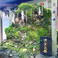 【京都】足腰・病気平癒の「いのしし神社」