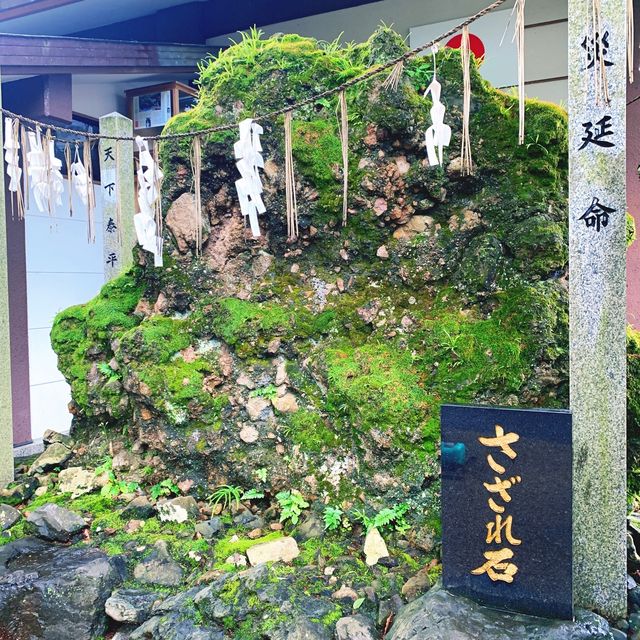 【京都】足腰・病気平癒の「いのしし神社」