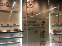宋皇臺出土宋元文物展
