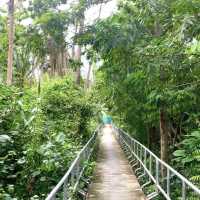 ขี่จักรยานชมธรรมชาติที่บางกระเจ้ากัน