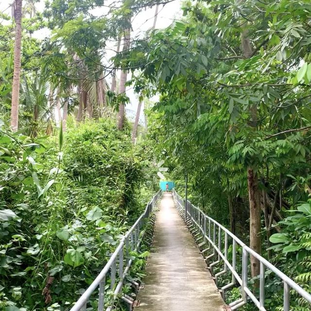 ขี่จักรยานชมธรรมชาติที่บางกระเจ้ากัน