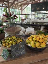 BN Farm ไร่บีเอ็น พืชผักผลไม้ ของท้องถิ่น