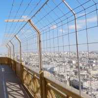 A view from the Eiffel Tower