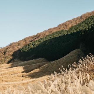 Nếu có dịp ghé Hakone vào mùa thu đừng bỏ qua địa điểm này. 

✅ Tên: Sengokuhara Susuki Grass Fields (仙石原すすき草原)

Cánh đồng cỏ lau này rộng bằng bốn Tokyo Domes, và hàng năm được coi là một thắng cảnh ở Hakone vào mùa thu. Đồng cỏ mang màu thảo nguyên xanh tươi vào mùa hè, nhưng vào mùa thu nó biến thành một tấm thảm màu vàng. 

📍 Dc: Sengokuhara, 箱根町 Hakone, Ashigarashimo District, Kanagawa 250-0631

Đồng cỏ lau gần trạm xe buýt "Sengoku Kogen".