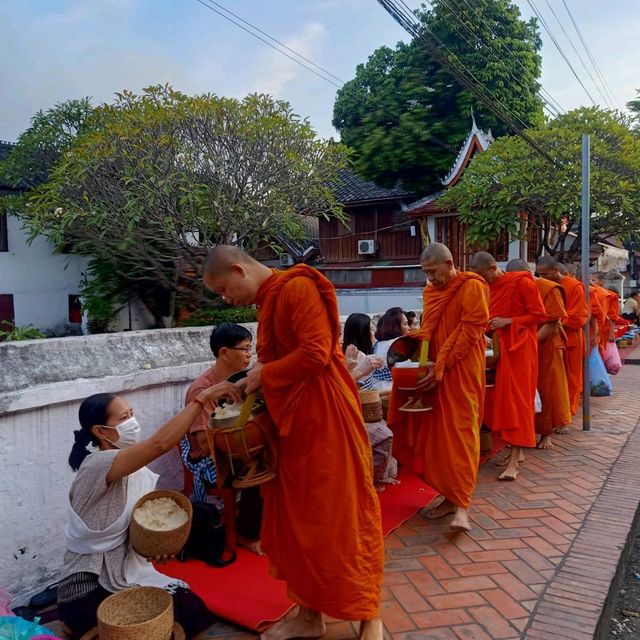 ตักบาตรข้าวเหนียวที่เมืองหลวงพระบาง