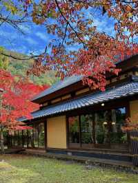 大分の紅葉🍁