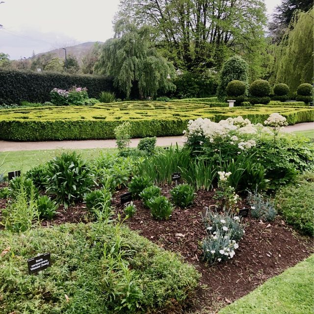 DUNEDIN BOTANIC GARDEN 