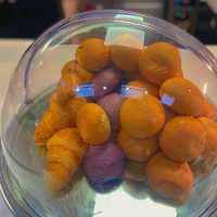 4 ขั้นตอนสั่งอาหารที่ร้าน IKEA เมกะบางนา