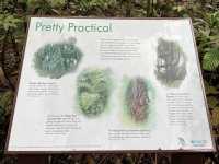 Come Explore Lower Peirce Reservior 