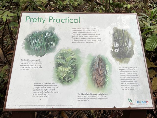 Come Explore Lower Peirce Reservior 