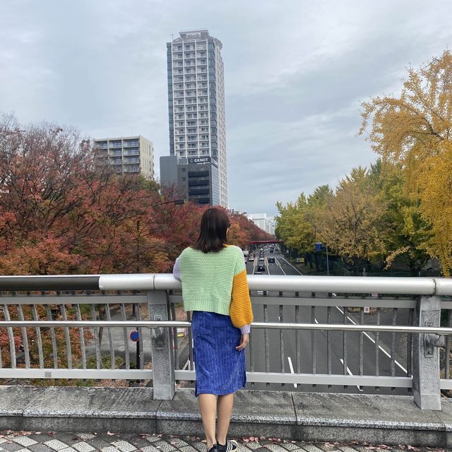 日本 最美的還是風景🍁🌼🗻