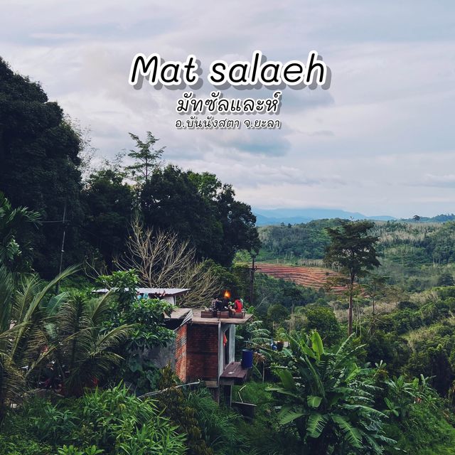 Mat Salaeh มัทซัลและห์ คาเฟ่