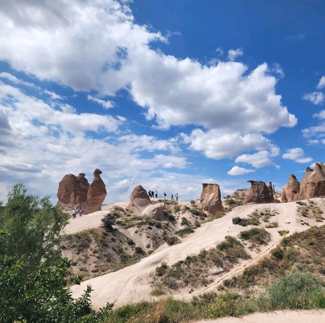 Cappadocia, Turkey (camel stone) 🇹🇷 