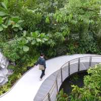 National Orchid Gardens, Singapore