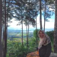 THE WIND BLOWS