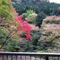 紅葉の袋田の滝