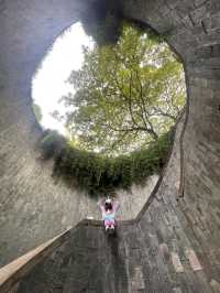 Tree Tunnel at Fort Canning Park