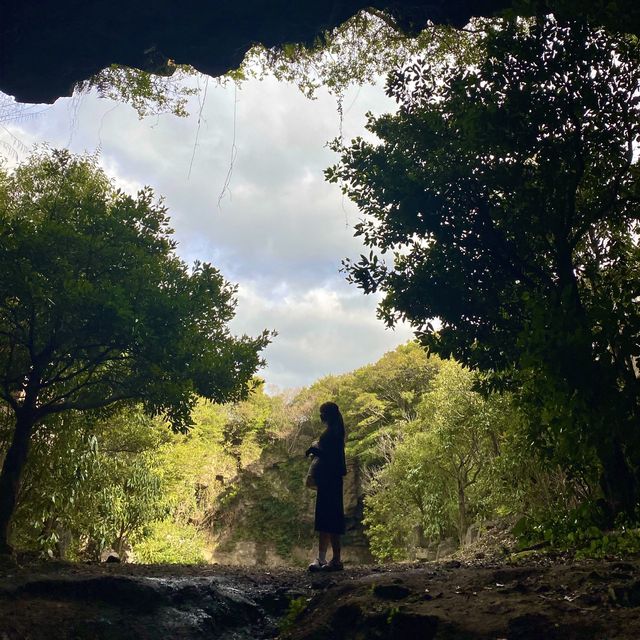 📍제주도의 녹차밭? 오늘은 녹차공원!