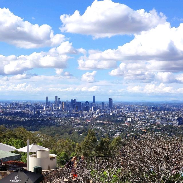 Why is Mt Coot-tha special?? and must visit