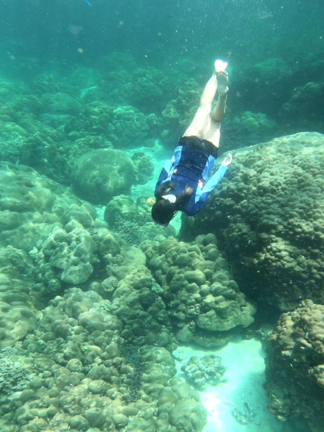 ทริปดำน้ำ5เกาะ | หลีเป๊ะ
