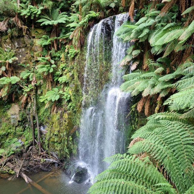 Beauchamp Falls & Hopetoun Falls