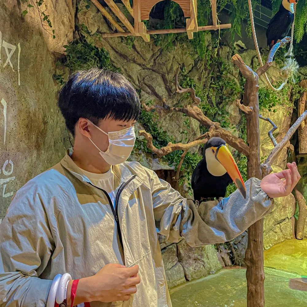 서울 한복판에서 만나는 동물친구들, 주렁주렁🦊