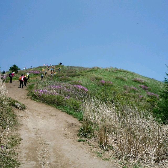 지리산 바래봉 등산 