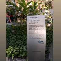 Jurong Art