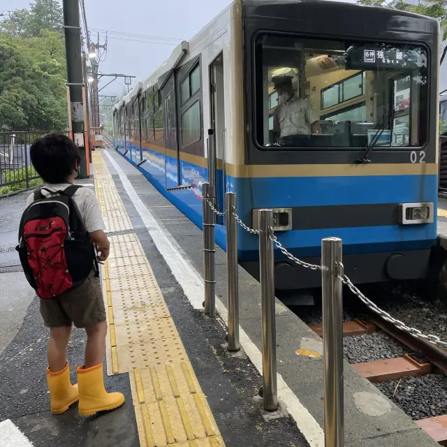 霧の中の紫陽花ケーブルカー