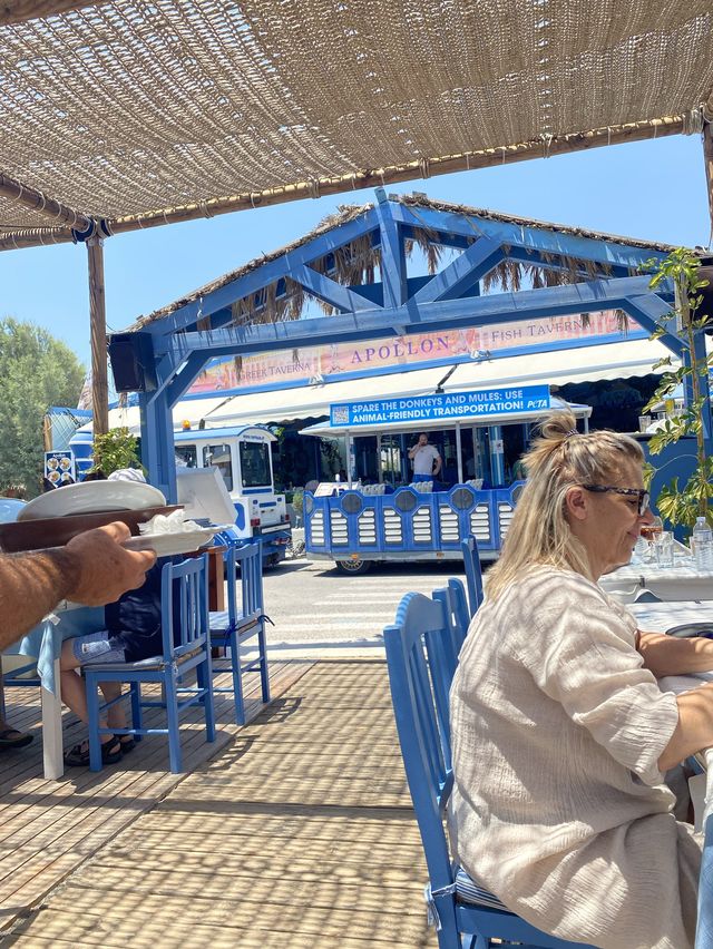 산토리니 해변이 보이는 지중해 식당 APOLLON🇬🇷