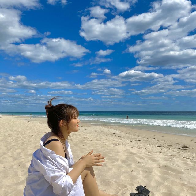 서호주 퍼스의 푸른바다 스카보로비치🐬
