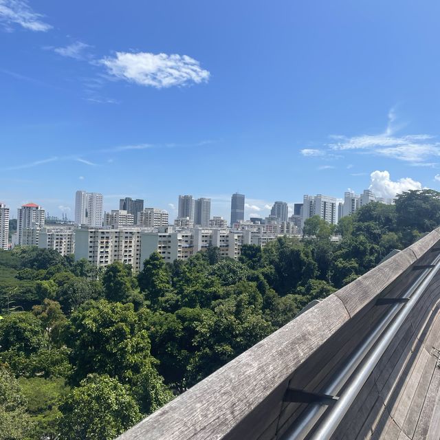 views from Henderson waves 