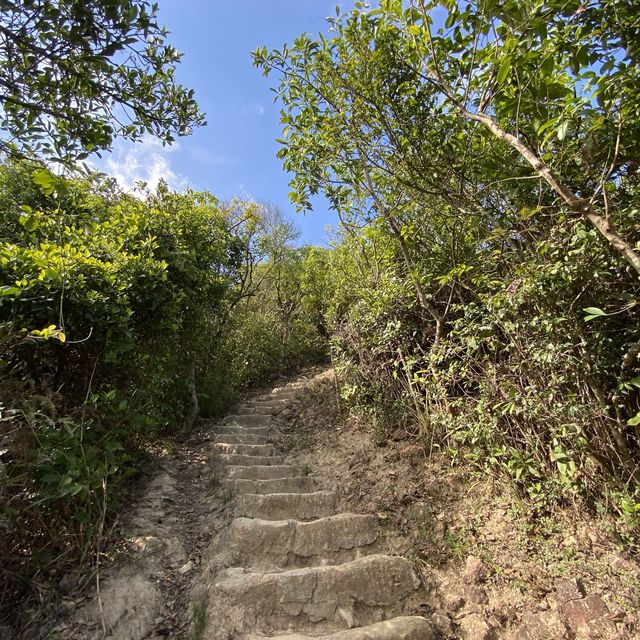 🚙⛰駕車行山好選擇 — 龍蝦灣郊遊徑