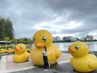 สวนสาธารณะ หนองประจักษ์