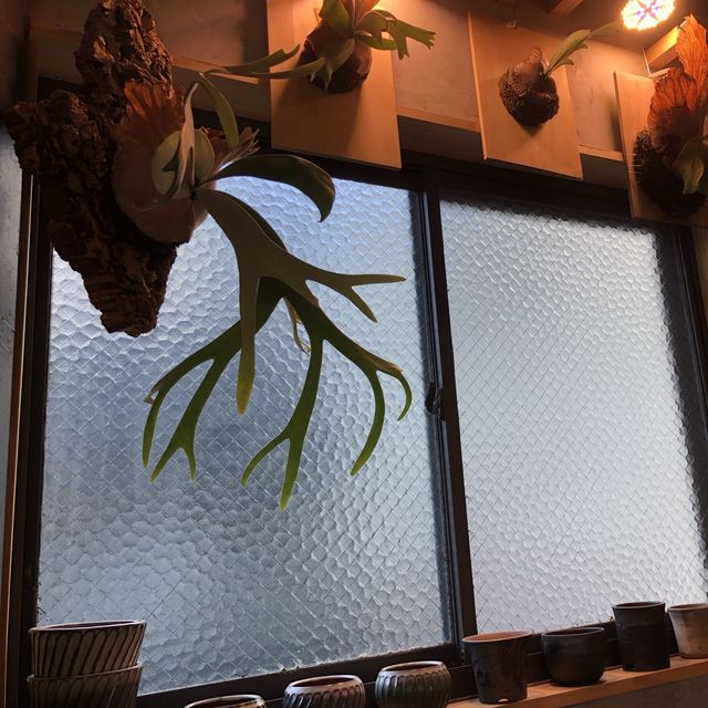 【大阪！個性お洒落カフェ現る!!】in高槻市