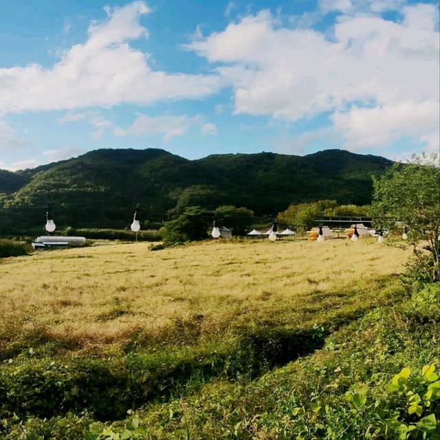 촌캉스 캠프닉 팜공삼일일 모래놀이 토끼 아이와 가볼만한곳