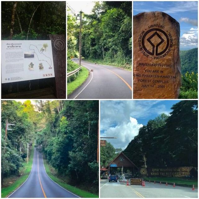 อุทยานแห่งชาติเขาใหญ่
